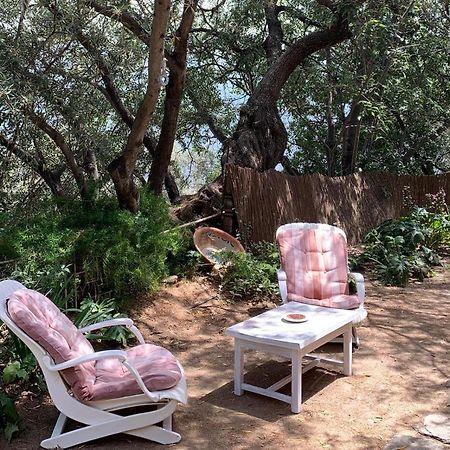 Mountain House Surrounded By Nature Bayacas Bagian luar foto