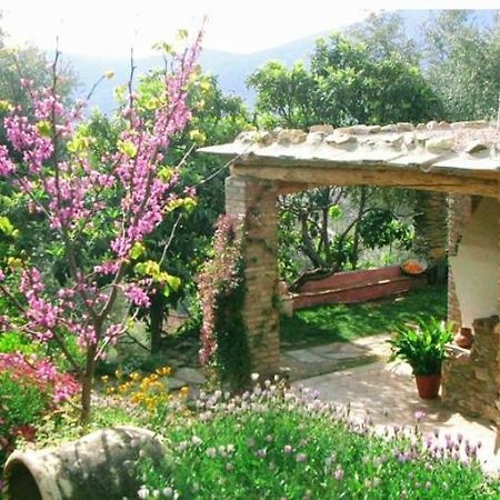 Mountain House Surrounded By Nature Bayacas Bagian luar foto
