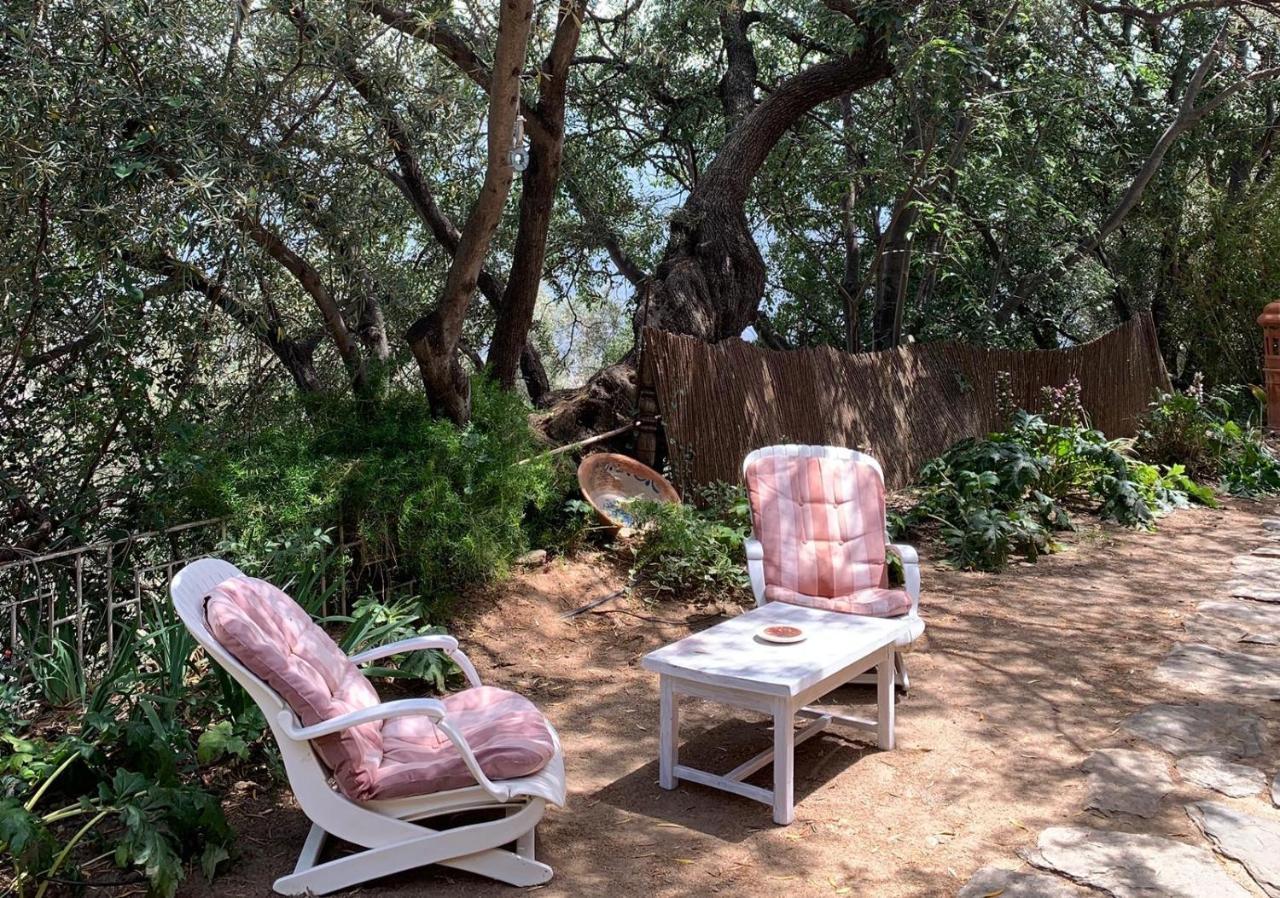 Mountain House Surrounded By Nature Bayacas Bagian luar foto