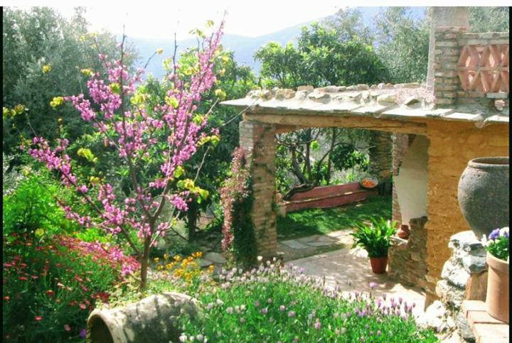 Mountain House Surrounded By Nature Bayacas Bagian luar foto